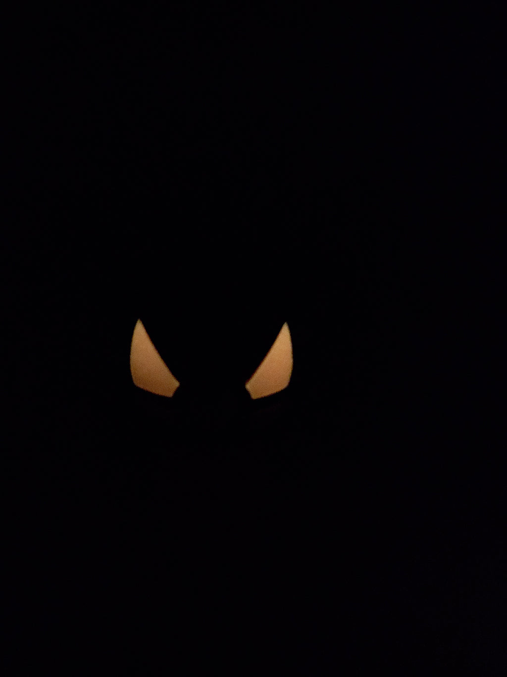 Gengar Ball