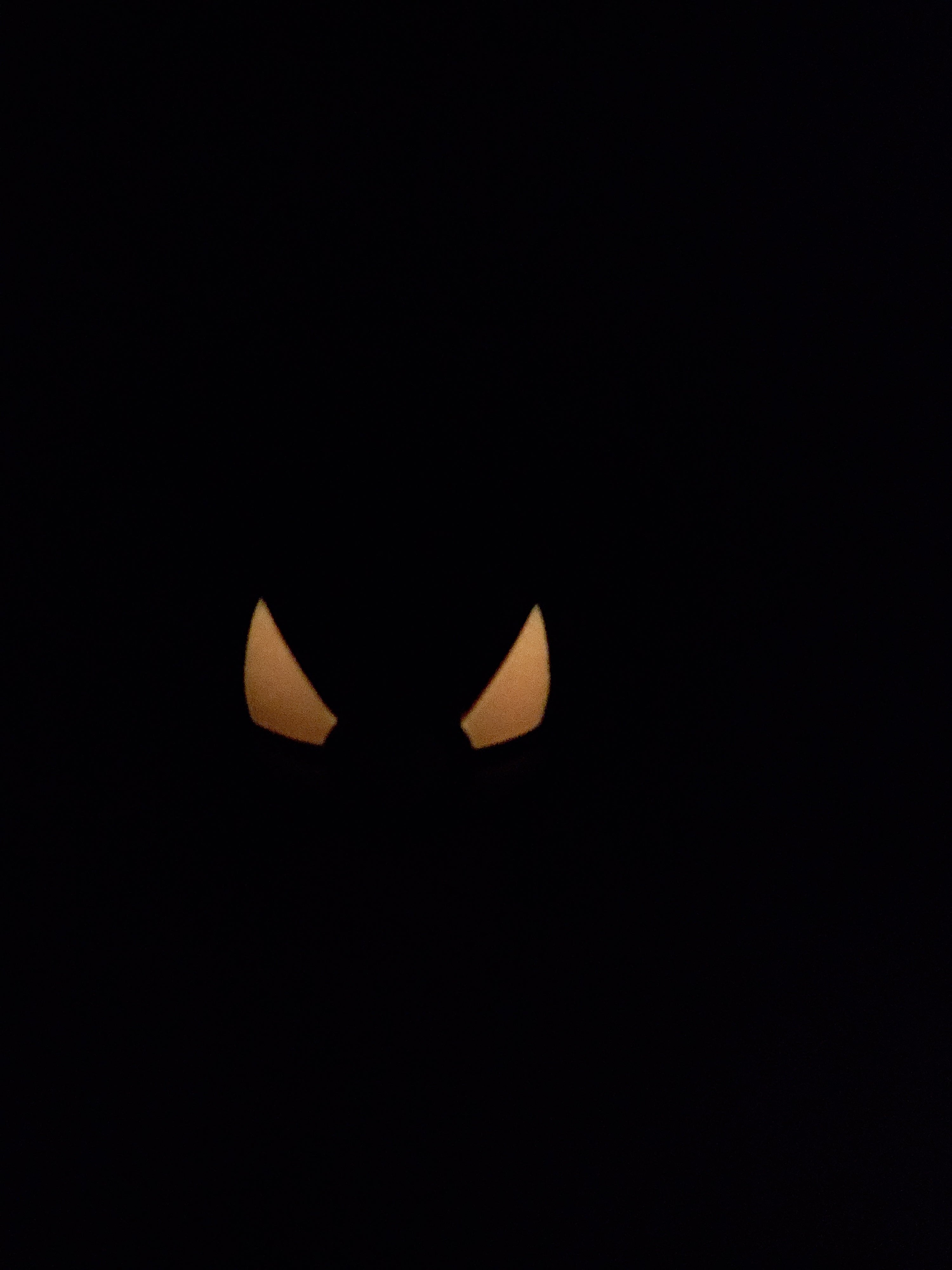 Gengar Ball