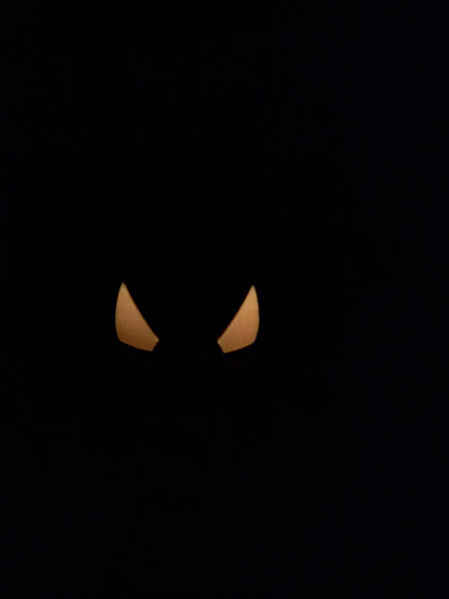 Gengar Ball